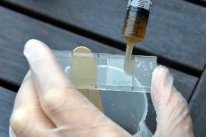 決定自來(lái)水測試方法